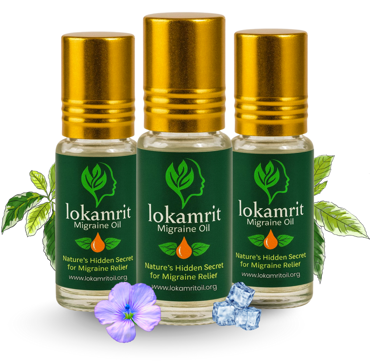 Within Lokamrit oil: Herbal Ingredients, Their Origins, and How They Work.